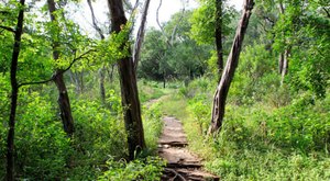 6 Easy Hikes To Add To Your Outdoor Bucket List In Austin