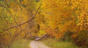 Here Are The Best Times And Places To View South Dakota’s Fall Foliage In 2023