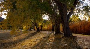 The Small State Park Where You Can View The Best Fall Foliage In Arizona