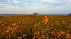 This Mississippi Campground Is One Of The Best Places To View Summer Wildflowers