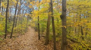 The Small State Park Where You Can View The Best Fall Foliage In Indiana