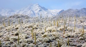 You Might Be Surprised To Hear The Predictions About Arizona’s Cold And Snowy Upcoming Winter