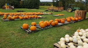 Here Are 8 Of The Absolute Best Pumpkin Patches In West Virginia To Enjoy In 2023