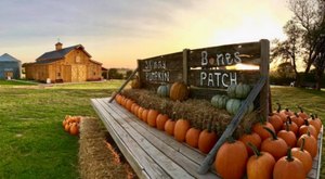 Here Are The 9 Absolute Best Pumpkin Patches In Nebraska To Enjoy In 2023