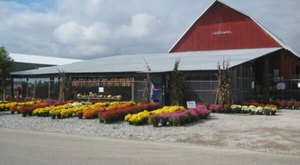 The Largest Pumpkin Patch In Indiana Is A Must-Visit Day Trip This Fall