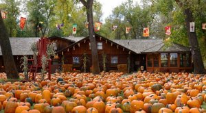 The Largest Pumpkin Patch In North Dakota Is A Must-Visit Day Trip This Fall