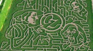 Get Lost In These 8 Awesome Corn Mazes Around Buffalo This Fall