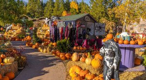 Here Are The 7 Absolute Best Pumpkin Patches In Arizona To Enjoy In 2023