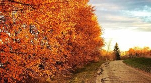 The Small Town In North Dakota That Comes Alive In The Fall Season
