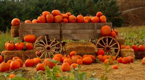 Here Are The 8 Absolute Best Pumpkin Patches In Oregon To Enjoy In 2023
