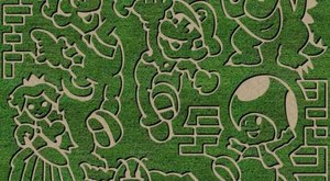 Get Lost In This Awesome 16-Acre Corn Maze In Indiana This Autumn
