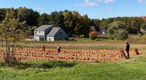 The Largest Pumpkin Patch In Maine Is A Must-Visit Day Trip This Fall