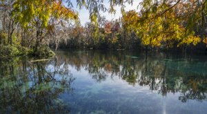 Here Are The Best Times And Places To View Florida’s Fall Foliage In 2023