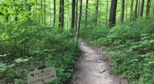 8 Easy Hikes To Add To Your Outdoor Bucket List In Indianapolis