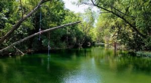 Austin’s Most Refreshing Hike Will Lead You Straight To A Beautiful Swimming Hole