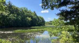 The Rhode Island Trail With A Meadow, A Footbridge, And A Lake You Just Can’t Beat