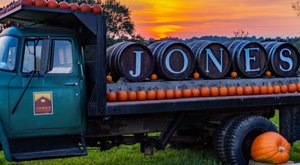 One Of The Largest Pumpkin Patches In Connecticut Is A Must-Visit Day Trip This Fall