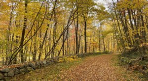 The 6.8-Mile Macedonia Brook State Park Loop Trail Leads Hikers To The Most Spectacular Fall Foliage In Connecticut