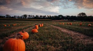 Here Are The 6 Absolute Best Pumpkin Patches In Kansas To Enjoy In 2023