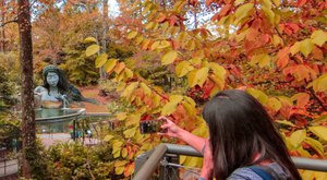 This Canopy Walk In Georgia Is The Perfect Way To See The Fall Colors Like Never Before