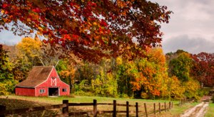 Here Are The Best Times And Places To View Connecticut’s Fall Foliage In 2023