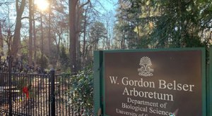 Explore A Little-Known Arboretum In South Carolina’s Capital City