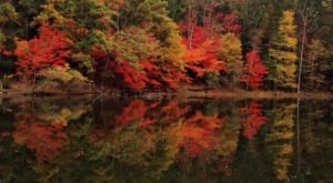 The One Hikeable Lake Near Charlotte That’s Simply Breathtaking In The Fall