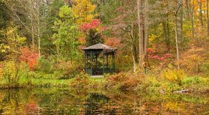 Here Are The Best Times And Places To View Delaware’s Fall Foliage In 2023