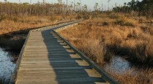6 Incredible Hikes Under 5 Miles Everyone Around New Orleans Should Take