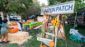The 8 Best Fall Festivals In Northern California For 2023 Will Put You In The Autumnal Spirit