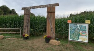 Pick A Pumpkin, Eat At The Cow Cafe, Then Get Lost In A 5-Acre Corn Maze In South Carolina