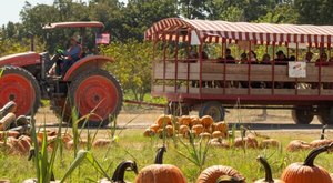 Here Are The 8 Absolute Best Pumpkin Patches In Texas To Enjoy In 2023