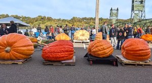 The 7 Best Fall Festivals In Minnesota For 2023 Will Put You In The Autumnal Spirit
