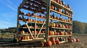 The Largest Pumpkin Patch In Delaware Is A Must-Visit Day Trip This Fall