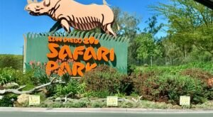 The Largest Safari Park In The U.S. Is In Southern California, And It’s Magical