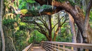 The South Carolina Park Worth Driving Across The State To Explore