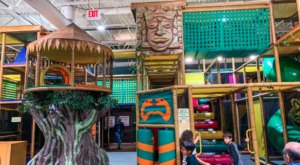 The Jungle-Themed Indoor Playground Near Detroit That’s Insanely Fun