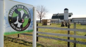 6 Family Friendly Farms In Delaware That Make For Delightful Day Trips