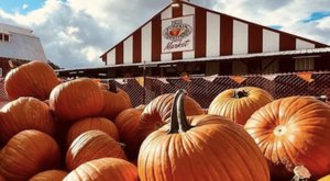 One Of The Largest Pumpkin Patches In Oregon Is A Must-Visit Day Trip This Fall