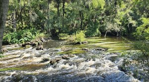 The Easy Trail That Might As Well Be The River Rapids Capital Of Florida