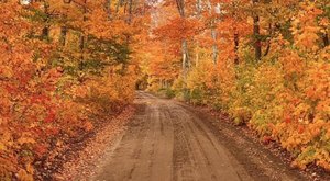 The Charming Small Town in Michigan That’s Perfect For A Fall Day Trip