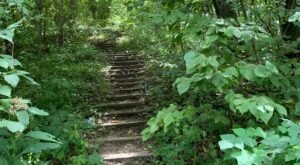 Margo Frankel Trail Is A Wooded Hike In Iowa That Leads To A Secret Playground