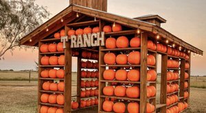 One Of The Largest Pumpkin Patches In Texas Is A Must-Visit Day Trip This Fall