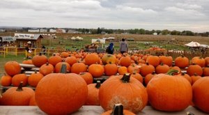 Here Are The 8 Absolute Best Pumpkin Patches To Enjoy In Maryland This Fall