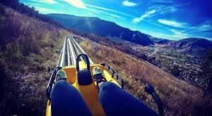 This Mountain Coaster In Colorado Will Take You On A Memorable Ride
