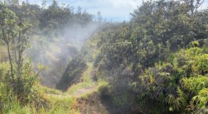 The Hawaii Trail With A Boardwalk, Steam Vent, And Sulfur Bank You Just Can’t Beat