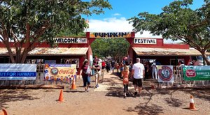 The Largest Pumpkin Patch In Hawaii Is A Must-Visit Day Trip This Fall