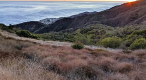A True Hidden Gem, The 11,525-Acre Topanga State Park Is Perfect For Southern California Nature Lovers