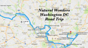 This Natural Wonders Road Trip Will Show You DC Like You’ve Never Seen It Before